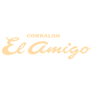 16 el amigo